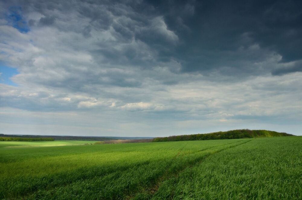 Поля и даль
