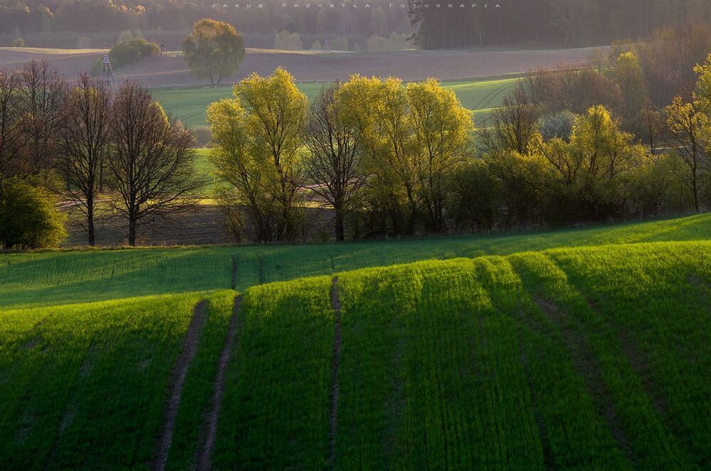 Spring
