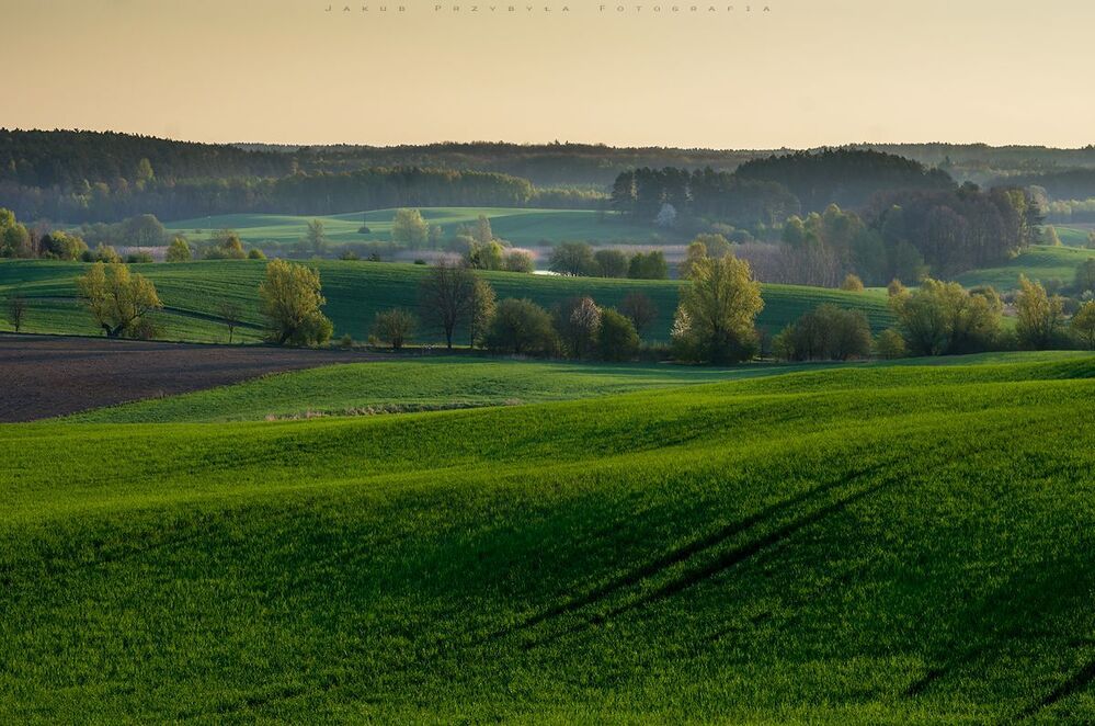 Spring