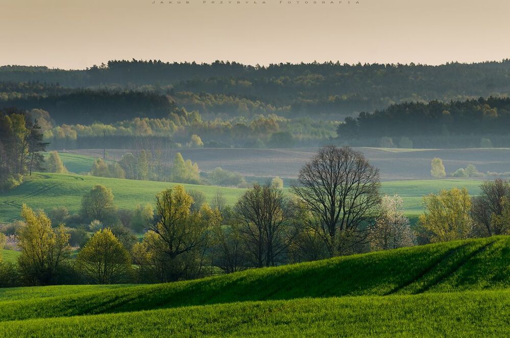 Spring
