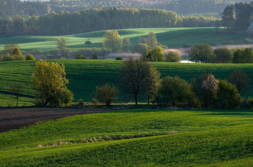 Spring