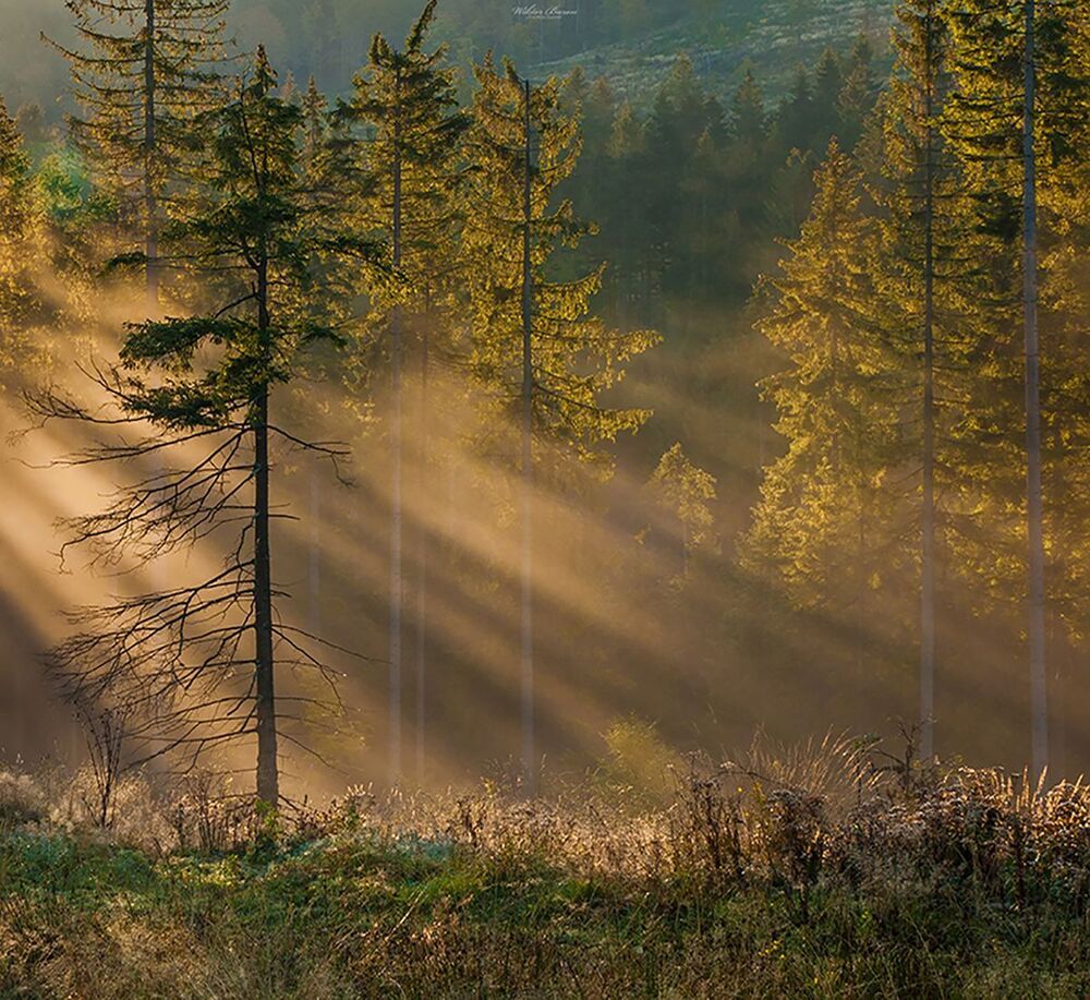 Polish Mountains