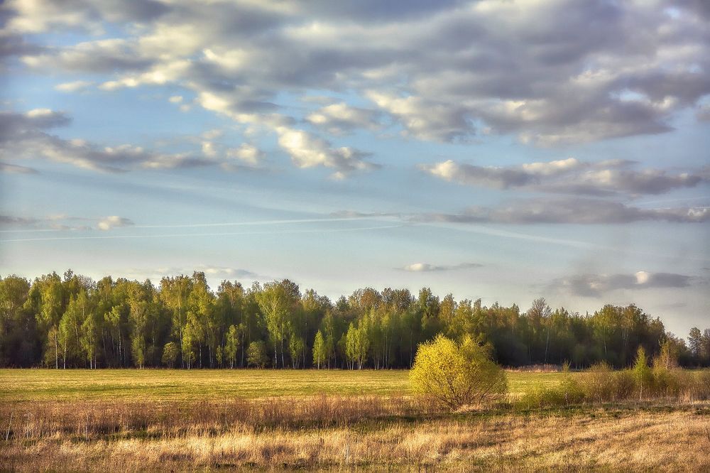весенние зарисовки..