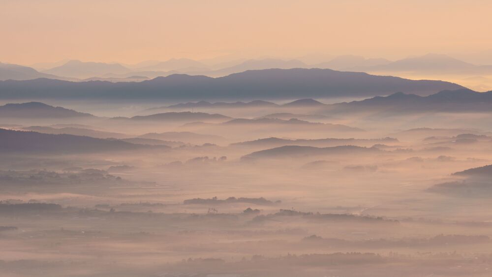 Rural morning fog