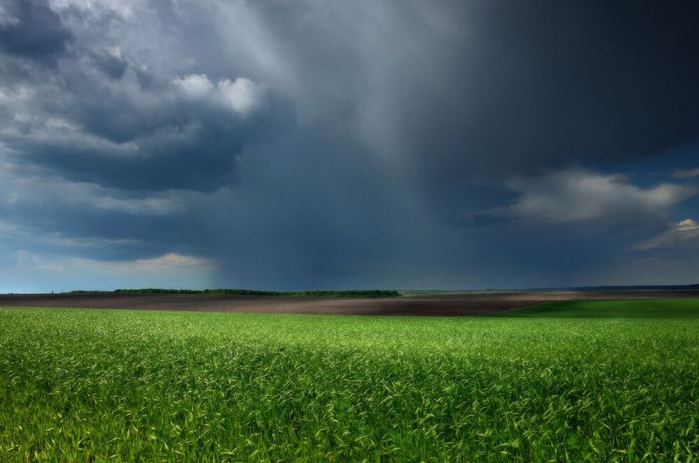 Перед грозой