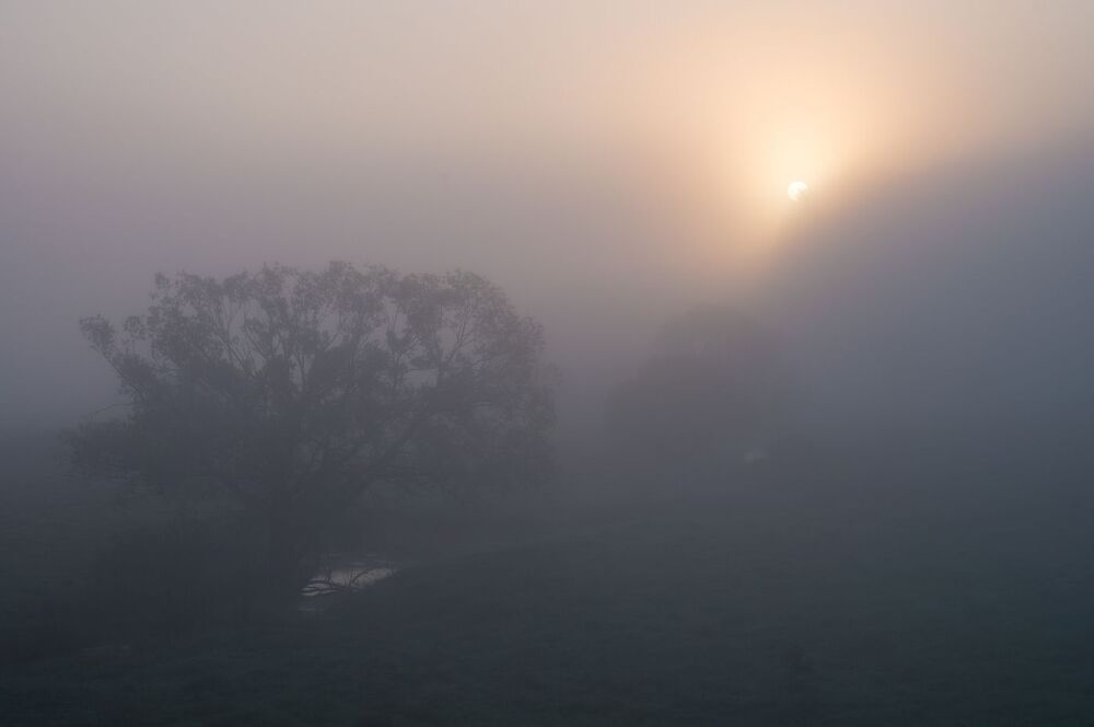 Прятки в тумане...