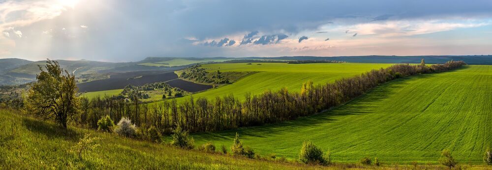 Живопись полей.