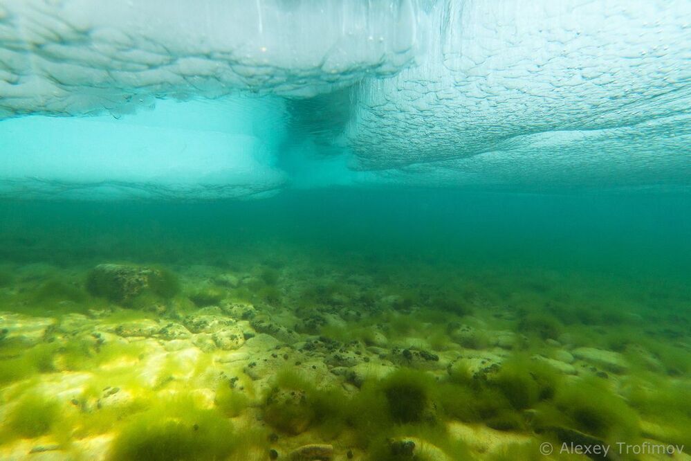 Байкал. Весна под водой