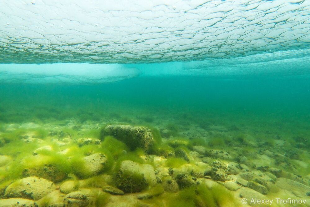 Байкал. Весна под водой