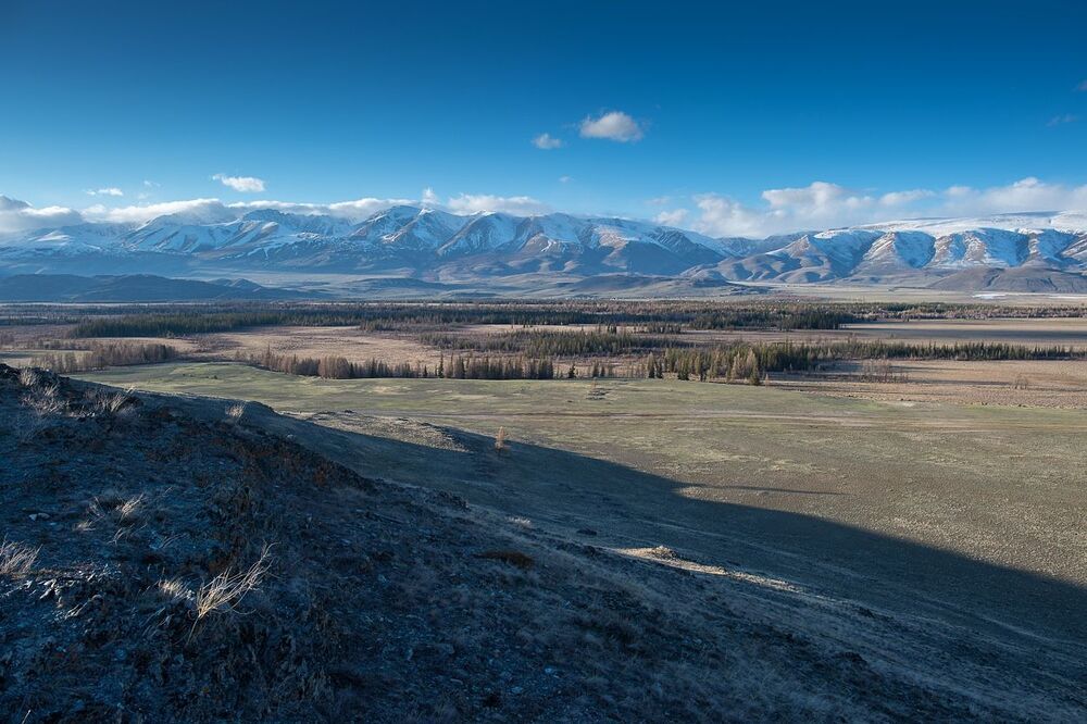один вечер в Курайской Степи