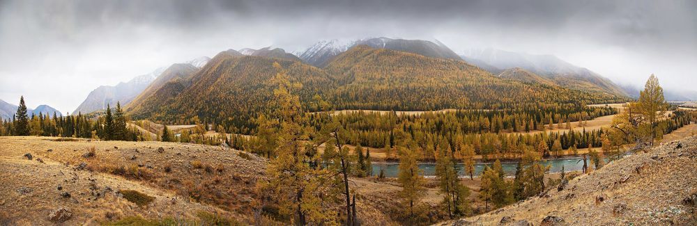 Осенние мотивы.