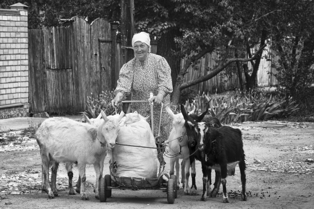 Городские встречи ...