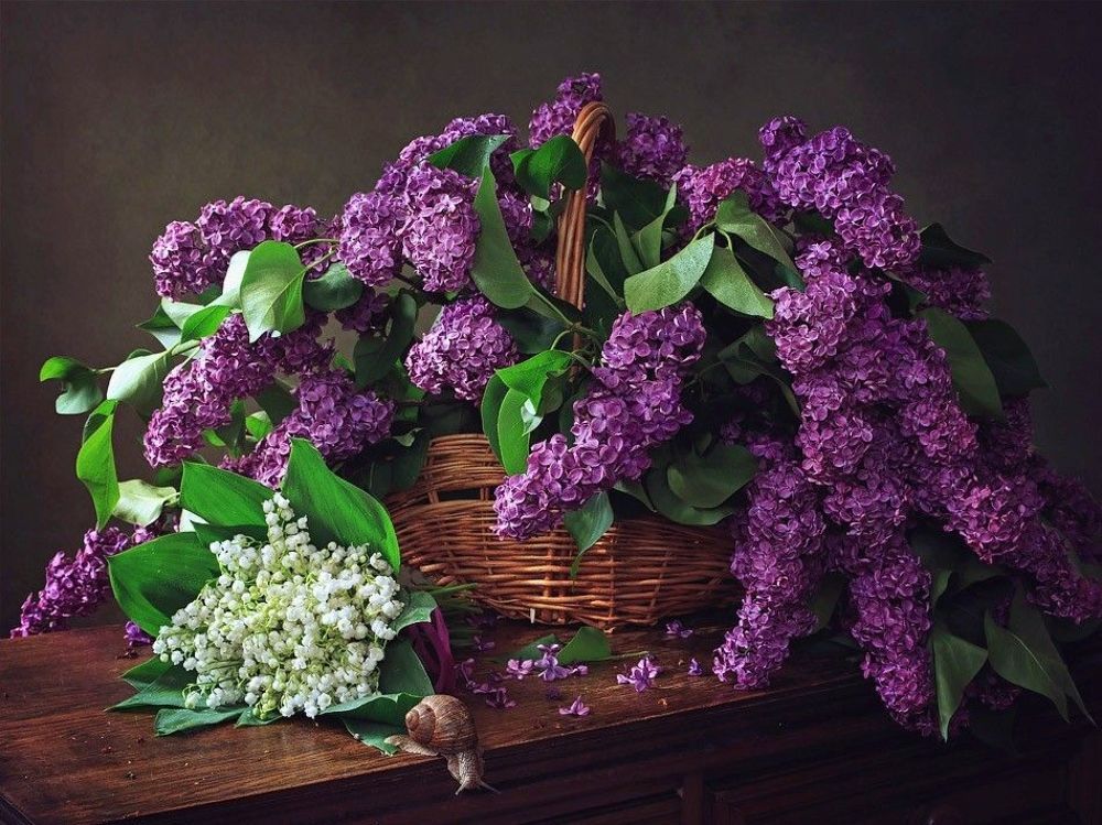 Любопытная Ульяна