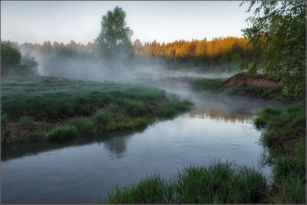 Photo 922941