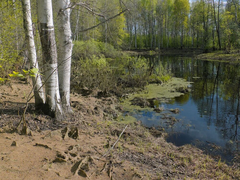 06. Отступая, весенняя вода оставляет многочисленные следы своего присутствия...