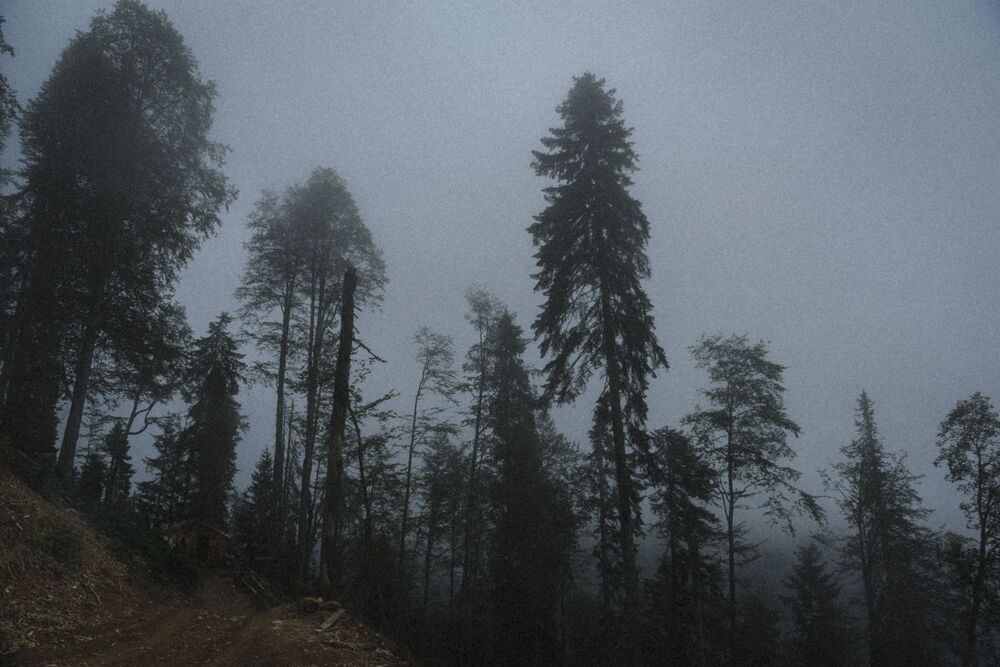 Photo 924263