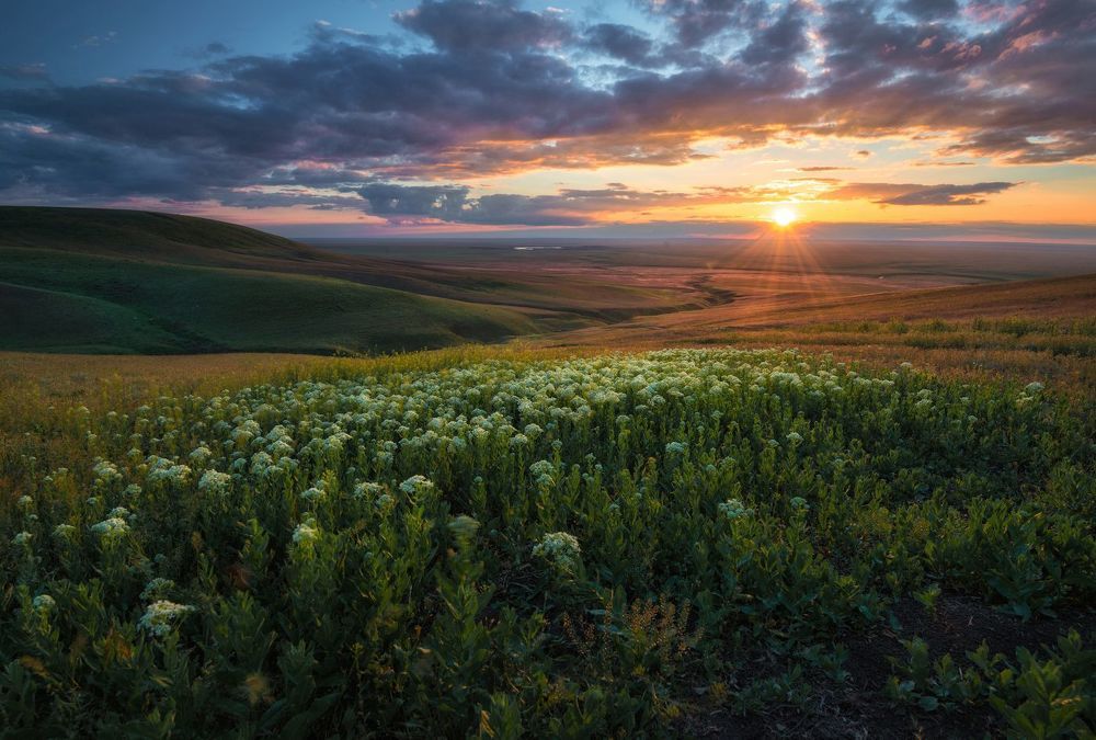Песни Калмыкских степей...и Бубль Гум )