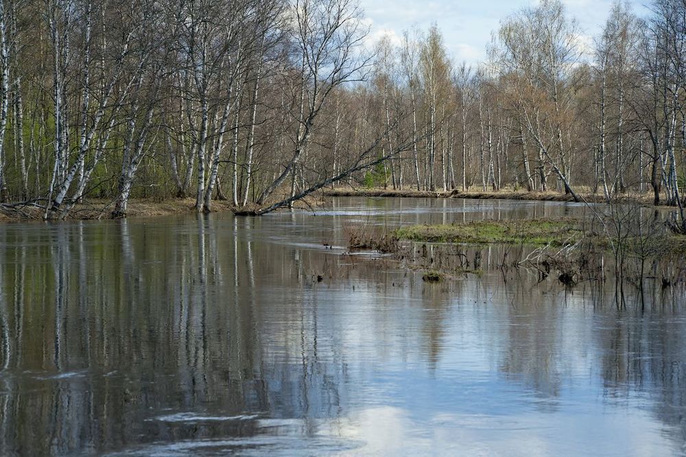 03. Максимальный уровень воды обычно бывает конце апреля, ...