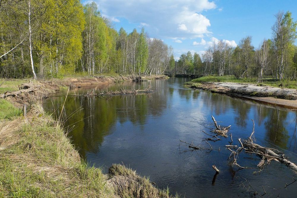 05. В мае вода постепенно спадает, и вид рек становится более привычным...