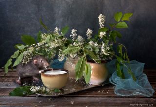 Молочко из деревни