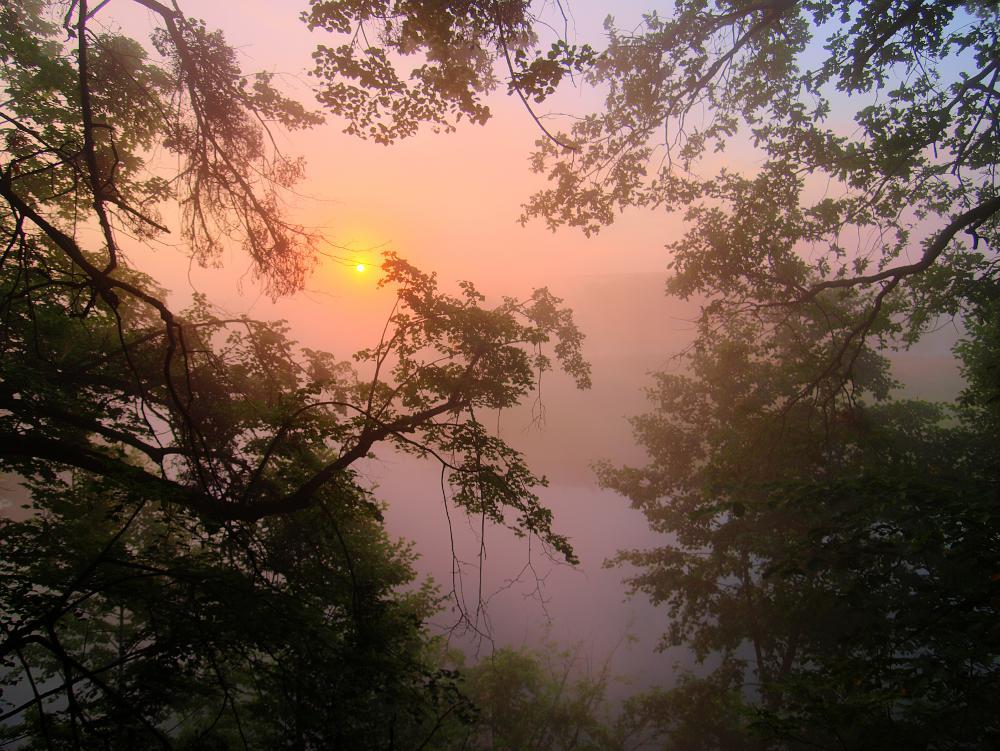 Sunrise
