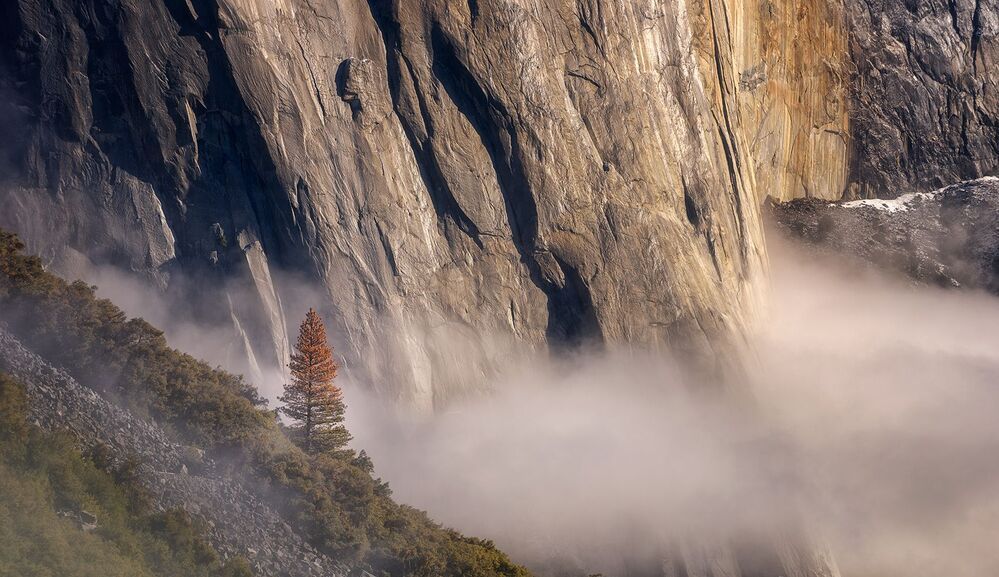 Yosemite туман...