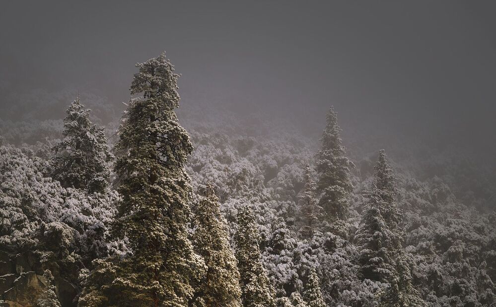 Yosemite туман...