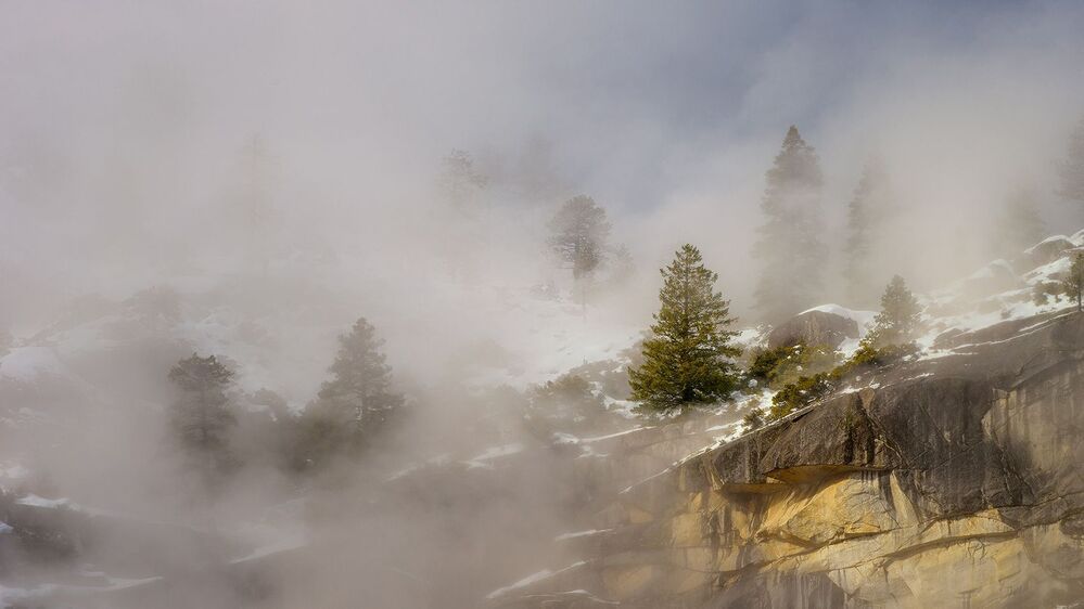 Yosemite туман...