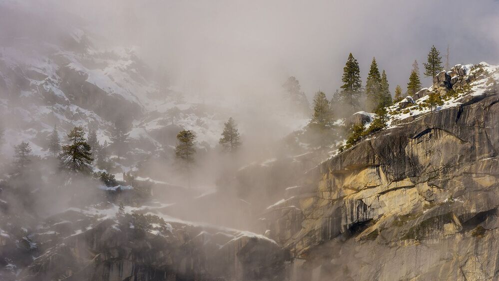 Yosemite туман...