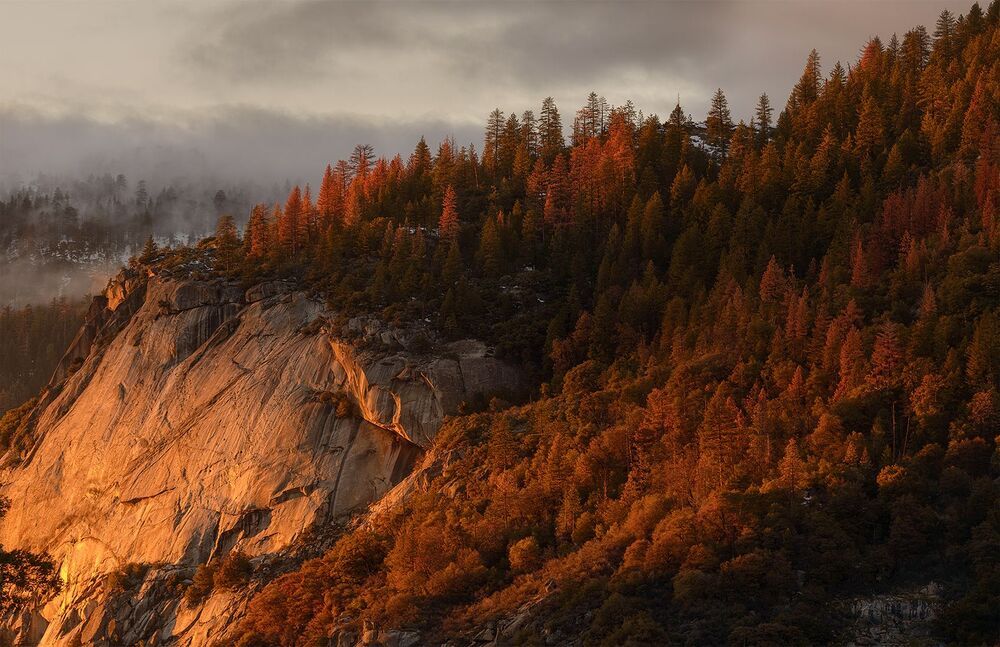 Yosemite туман...