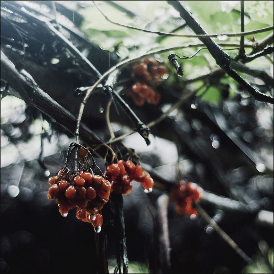 Весеннее