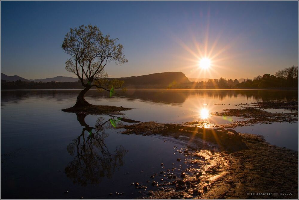 NZ...