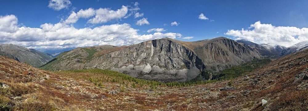 Панорамы Алтая