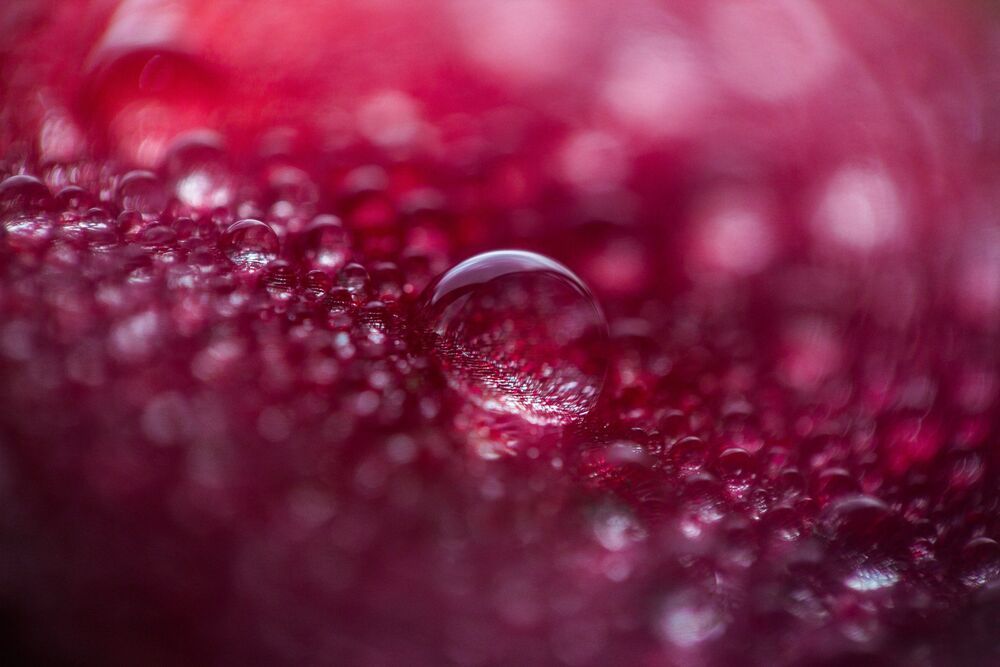 Canon 650D + Helios 44-2 + макрокольца