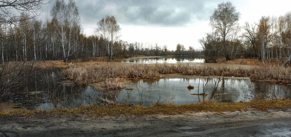 Photo 930794