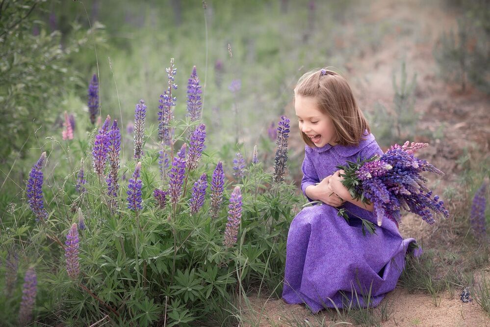 Lupinus