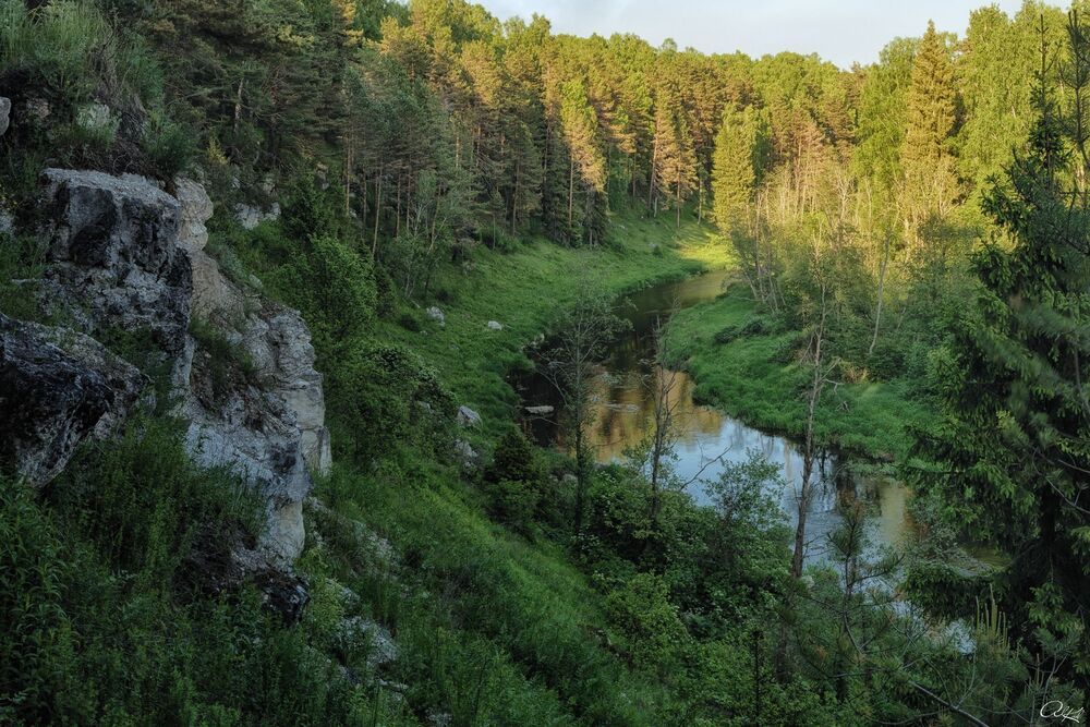 Вечер на речке