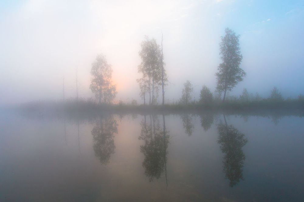 Сквозь туман