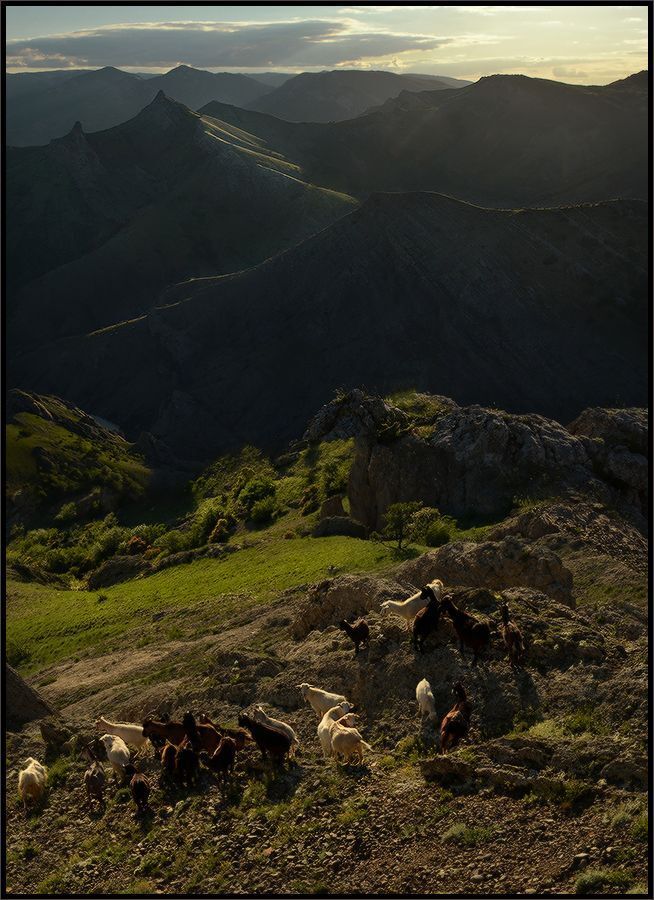 Есть в Крыму село "Зеленогорье" ...