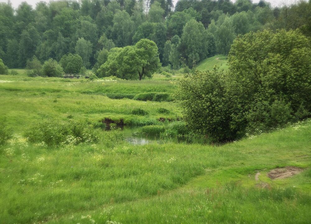 Летние зарисовки