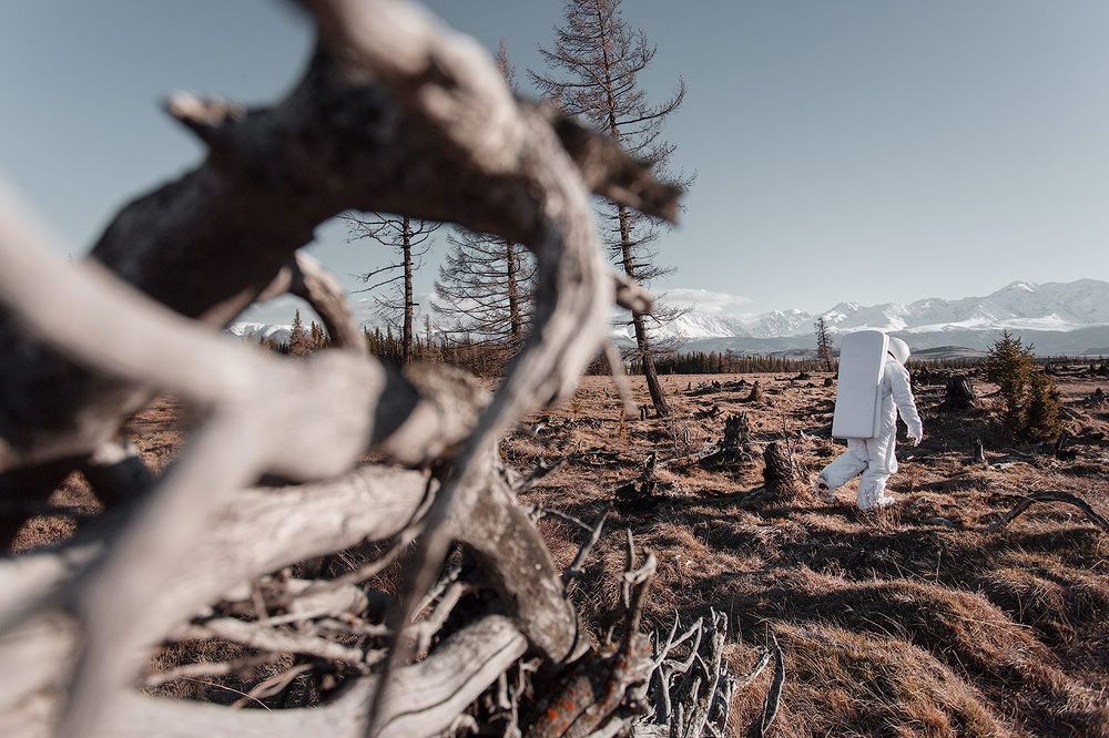Altai Oddity