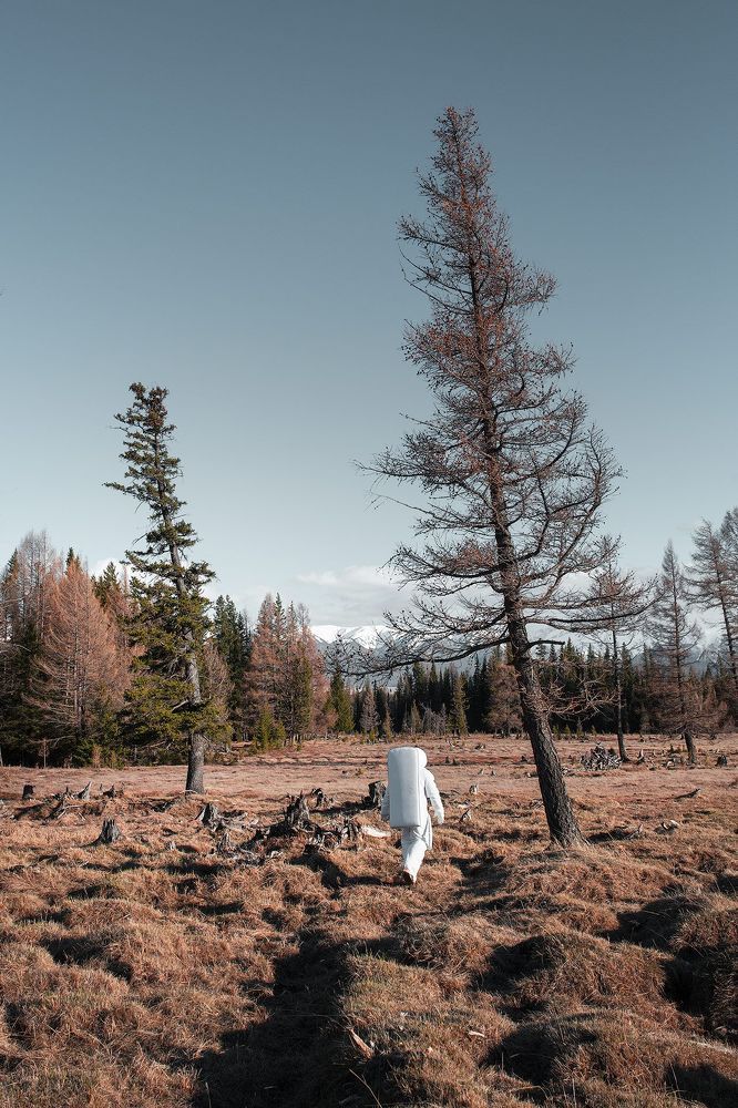 Altai Oddity