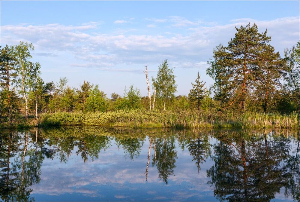 Утренняя благодать