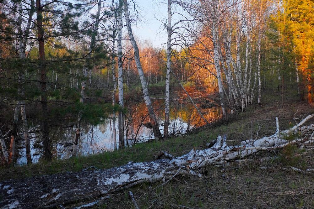 08 &hellip; и придали почти театральное настроение берегам старицы.