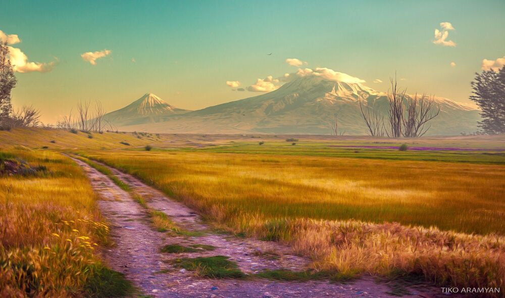 Ararat