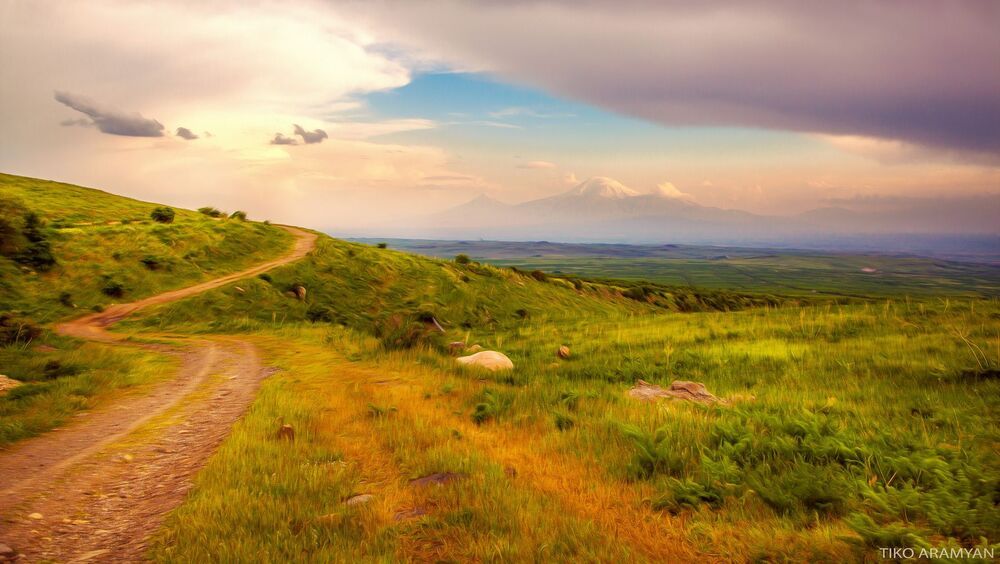 Ararat