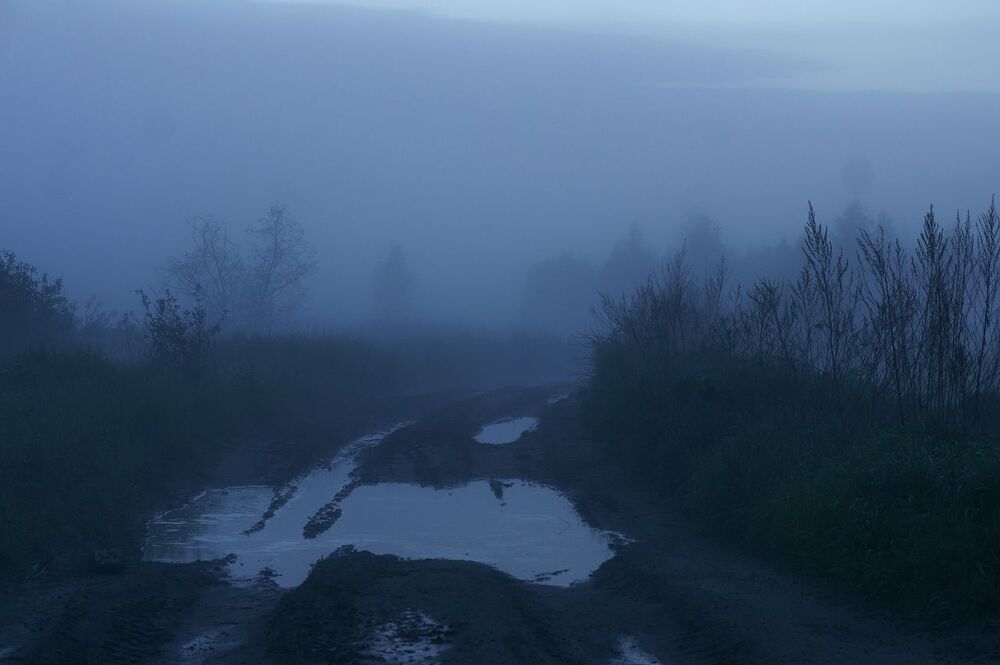 Пейзажи