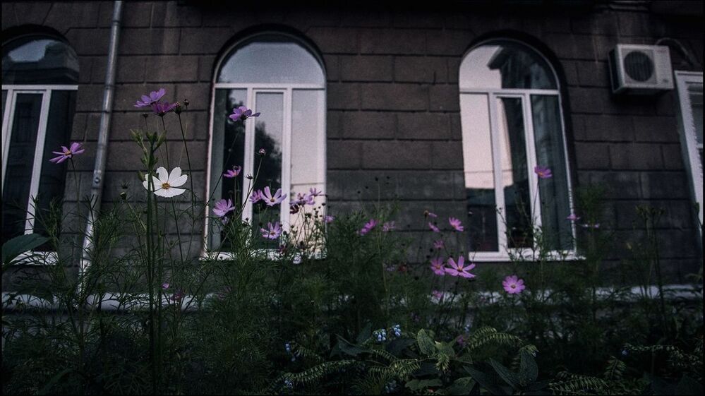 Спокойная суета
