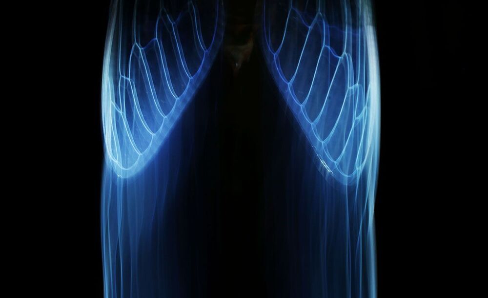 перо&nbsp;
