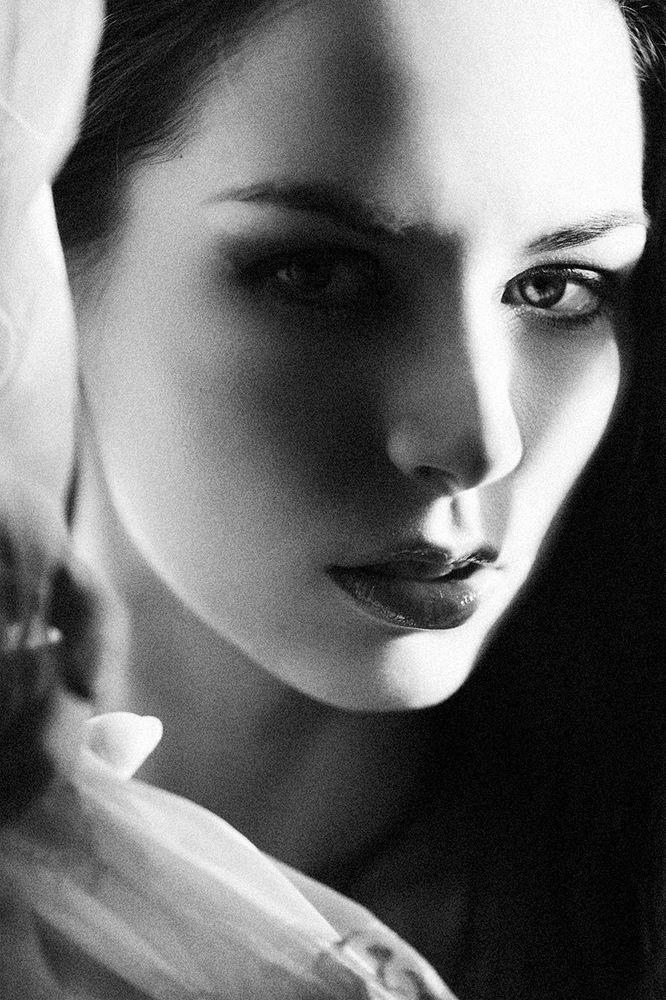 Chiaroscuro